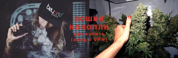 ПСИЛОЦИБИНОВЫЕ ГРИБЫ Балахна