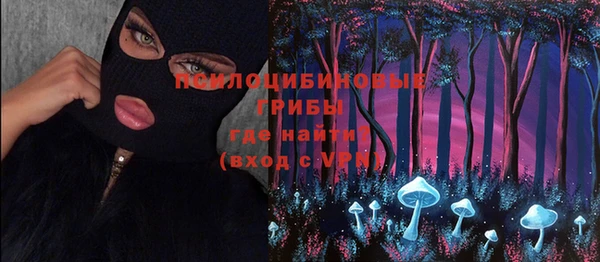 ПСИЛОЦИБИНОВЫЕ ГРИБЫ Балахна